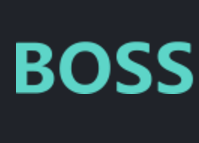 BOSS直聘 BOSS直聘